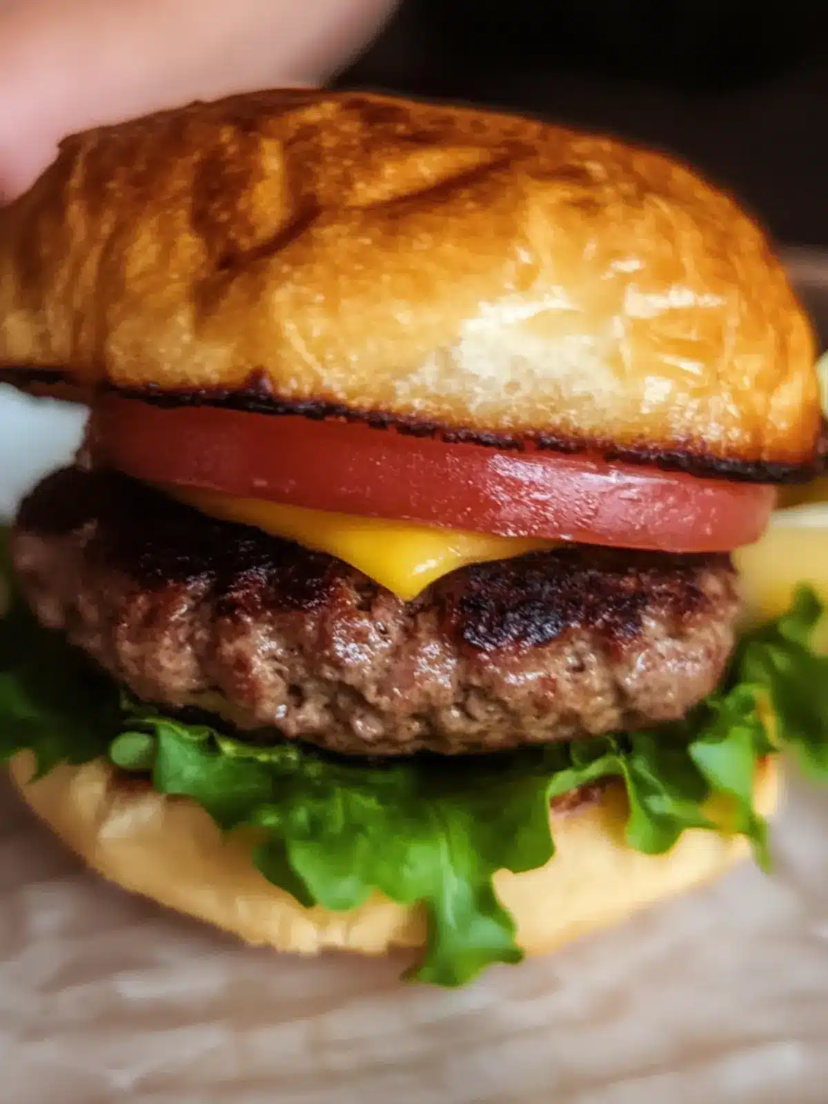 Best Low Carb Burgers Packed with Flavor and Guilt-Free Joy 3 Best Low Carb Burgers